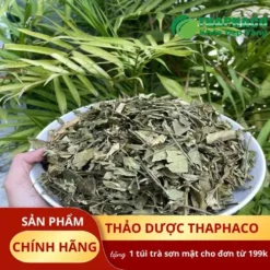 Địa chỉ bán Dây Thìa Canh Sấy Khô chất lượng tại TP.HCM