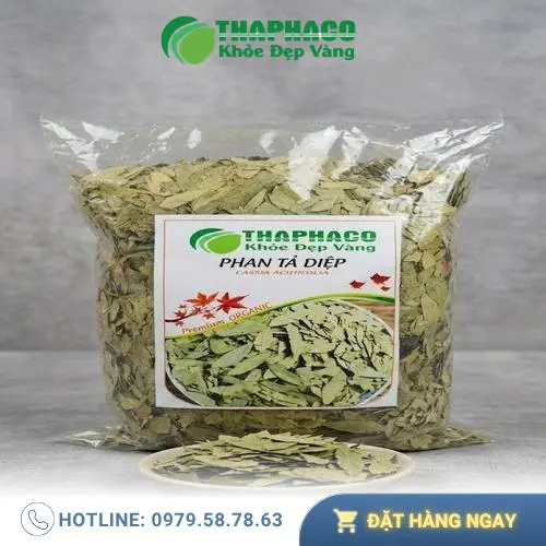Phân tích khoa học về tác dụng của Phan Tả Diệp