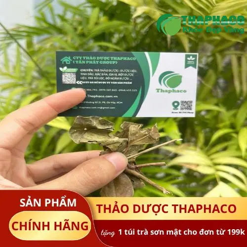 Chè Vằng khô nguyên chất Dược Liệu THAPHACO