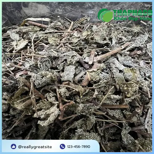 Lá Chè Dây THAPHACO tươi và khô