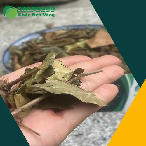 Cách pha chè vằng khô THAPHACO đơn giản