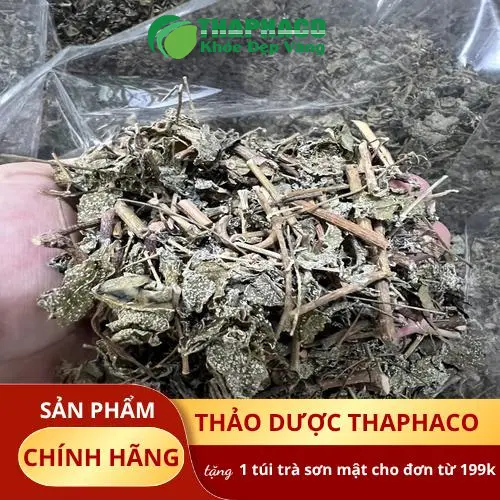 Lá Chè Dây tươi và khô