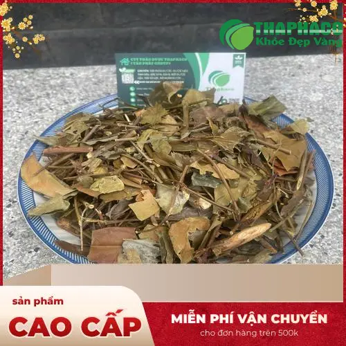 Lợi ích của Chè Vằng cho sức khỏe phụ nữ