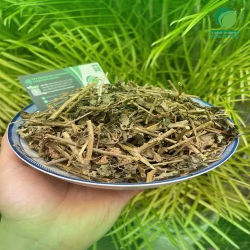 Rễ, thân và lá cà gai leo khô đã được sơ chế và cắt khúc - Thaphaco