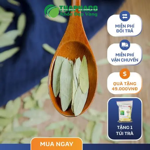 Phan Tả Diệp khô được đóng gói cẩn thận