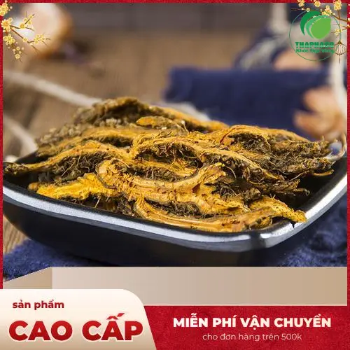 Quá trình kiểm tra chất lượng Hoàng Liên sấy khô trong phòng thí nghiệm