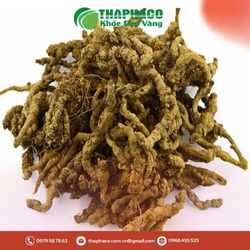Công dụng dược liệu Hoàng Liên trong hỗ trợ tiêu hóa