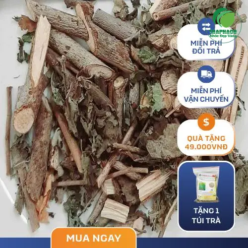 Sản phẩm cây an xoa THAPHACO đảm bảo chất lượng