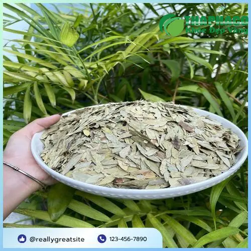 Hình ảnh lá Phan Tả Diệp khô, minh họa dược liệu