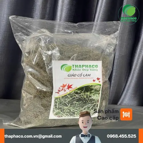 Công dụng đa dạng của giảo cổ lam THAPHACO hỗ trợ sức khỏe