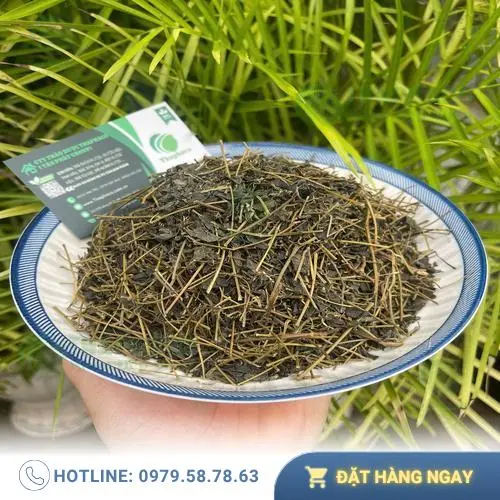 Hình ảnh lá và thân cây giảo cổ lam khô