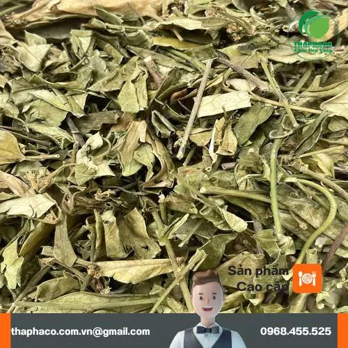 Cách dùng dây thìa canh pha trà