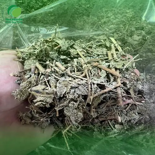 Trà Chè Dây pha xong có màu sắc tự nhiên, hấp dẫn