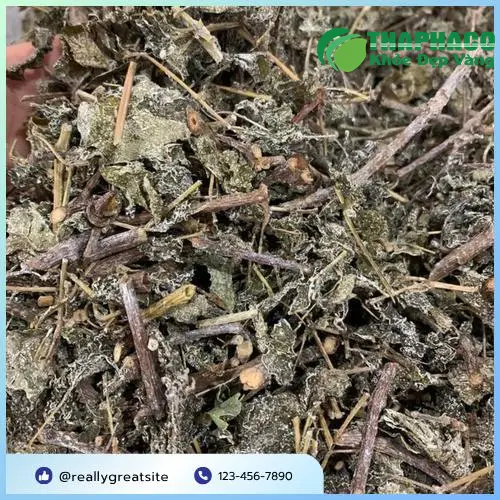 Quy trình sản xuất Chè Dây THAPHACO