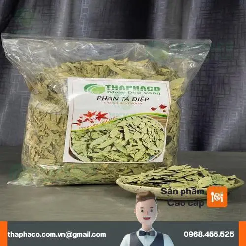 Phan Tả Diệp và Trà Sơn Mật – Mua 1 Tặng 1