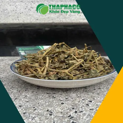 Sản phẩm cà gai leo khô của Thaphaco được đóng gói cẩn thận