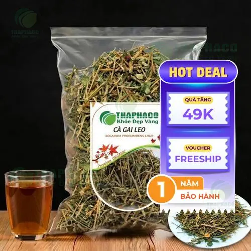 So sánh chất lượng cà gai leo của THAPHACO