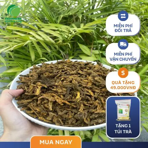 Lưu ý khi sử dụng Hoàng Liên trị bệnh