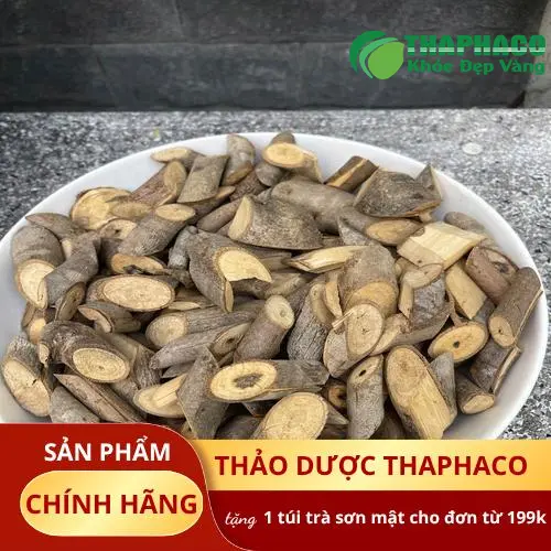 Lợi ích sức khỏe từ cây an xoa THAPHACO