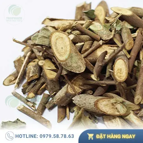 Lợi ích sức khỏe của cây an xoa