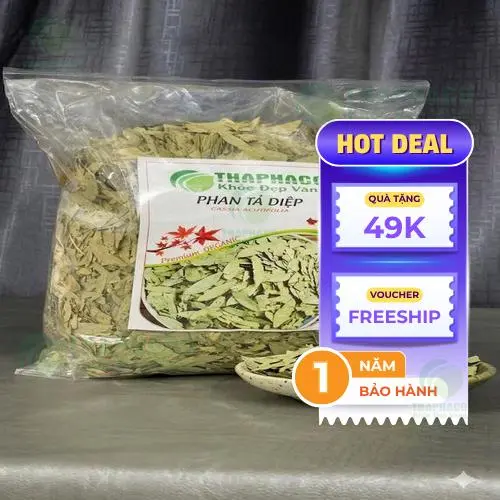 Nghiên cứu về dược liệu và sức khỏe trẻ em