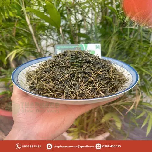 Quy trình đóng gói giảo cổ lam THAPHACO chuyên nghiệp và an toàn