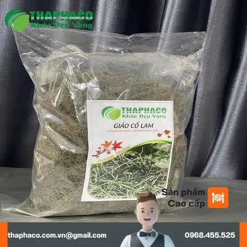Giảo Cổ Lam THAPHACO với nhiều lợi ích sức khỏe