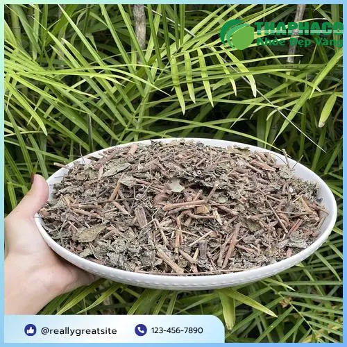 Chè Dây được đóng gói cẩn thận