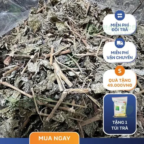 Cốc Chè Dây THAPHACO đã pha sẵn