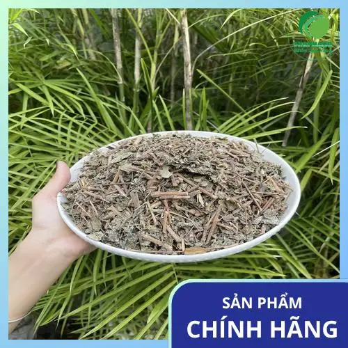 Quá trình kiểm tra chất lượng Chè Dây THAPHACO