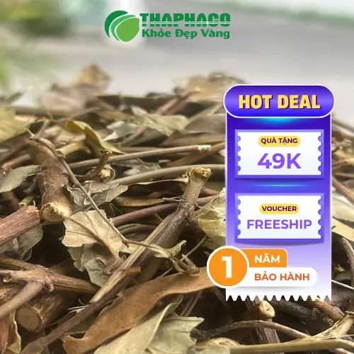 Chè vằng mang lại nhiều lợi ích sức khỏe