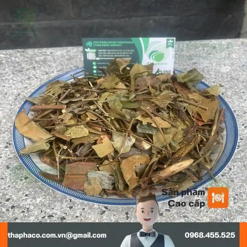 Sản phẩm chè vằng THAPHACO đã được đóng gói sẵn sàng giao hàng