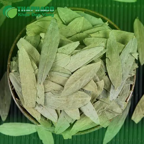 Công dụng thải độc và giảm cân của Phan Tả Diệp