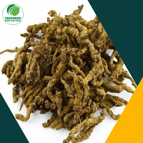 Hoàng Liên sấy khô THAPHACO được đóng gói cẩn thận, đảm bảo vệ sinh