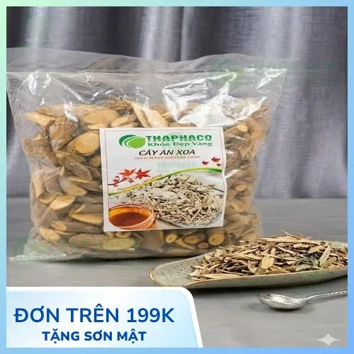 Hướng dẫn bảo quản cây an xoa đúng cách