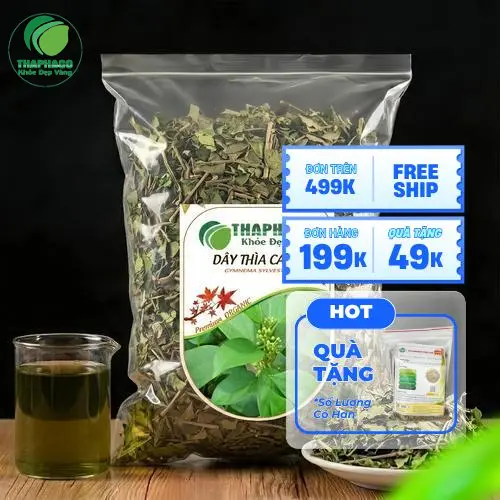 Tư vấn sử dụng Dây Thìa Canh đúng cách từ chuyên gia THAPHACO