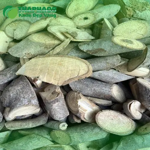 Khuyến mãi hấp dẫn khi mua cây an xoa tại THAPHACO