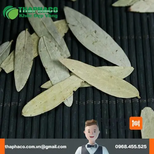 Chuyên gia dược liệu THAPHACO tư vấn sức khỏe