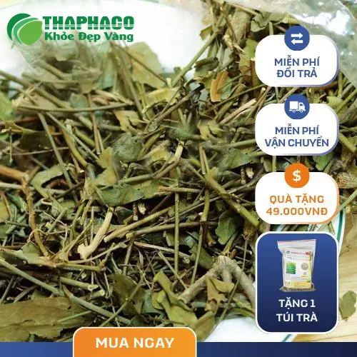 Sản phẩm Chè Vằng THAPHACO chất lượng cao