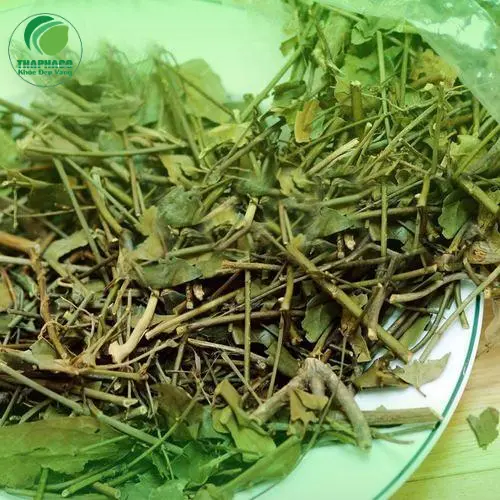 Chè Vằng sấy khô THAPHACO đóng gói