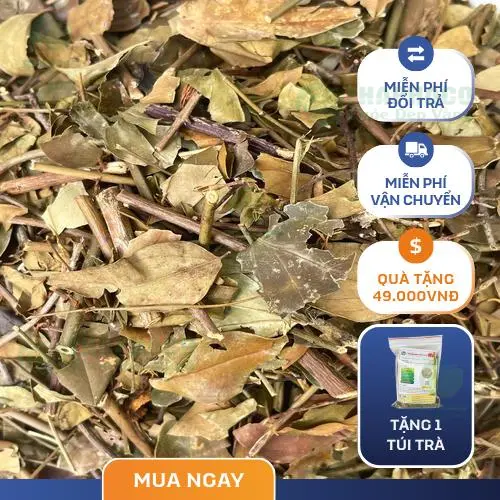 Gói chè vằng THAPHACO tiện lợi, sẵn sàng cho người tiêu dùng