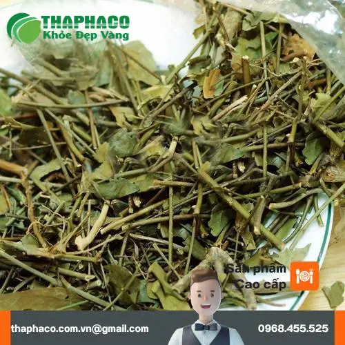 Ly trà chè vằng thơm ngon, bổ dưỡng cho phụ nữ sau sinh