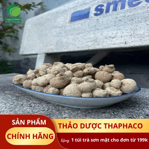 Quy trình kiểm định chất lượng củ tam thất nam