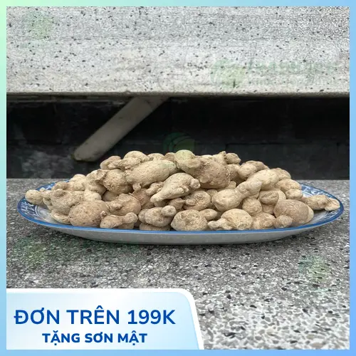Củ tam thất nam chất lượng cao