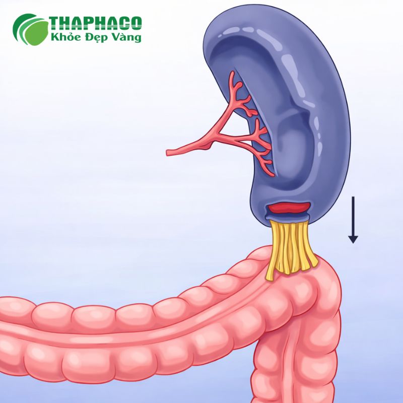 Tác Động Của Cường Lách Đến Sức Khỏe và Các Biến Chứng Nguy Hiểm