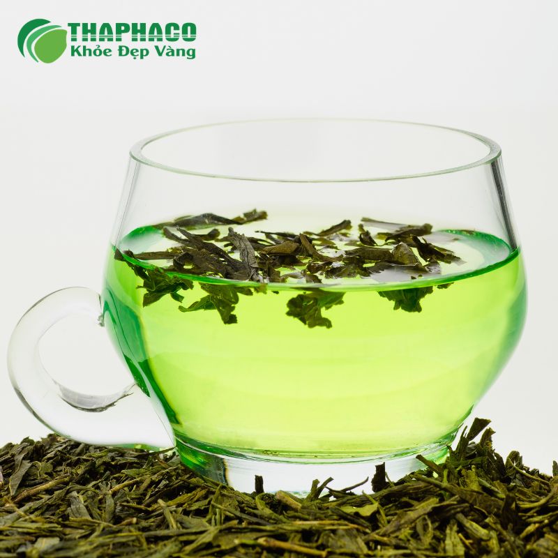 Liều lượng và cách bảo quản dược liệu Thaphaco hiệu quả
