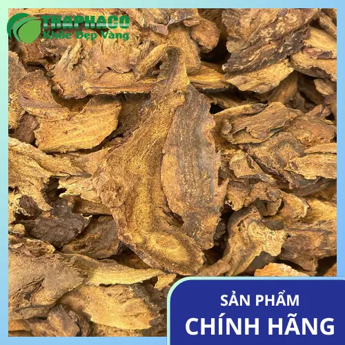 Hình ảnh rễ Đại Hoàng khô chuẩn bị làm trà