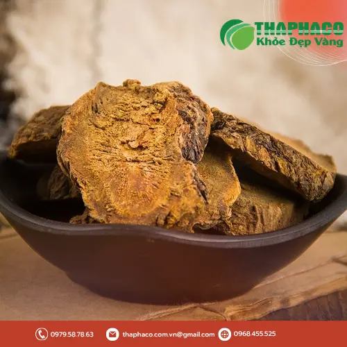 Hình ảnh Đại hoàng sấy khô THAPHACO, minh họa công dụng thanh nhiệt, giải độc