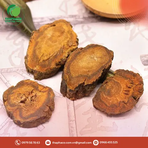 Hình ảnh người lớn tuổi đang uống trà thảo dược