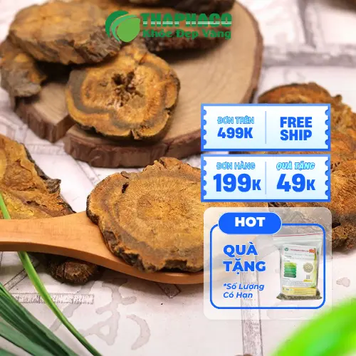 Đại hoàng sấy khô THAPHACO được kiểm định chất lượng nghiêm ngặt và đóng gói cẩn thận